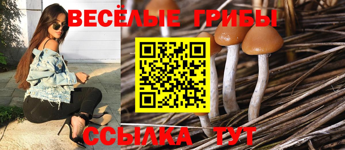 Урай  Псилоцибиновые грибы Psilocybine cubensis  Галлюциногенные грибы GOLDEN TEACHER  Вход с VPN 